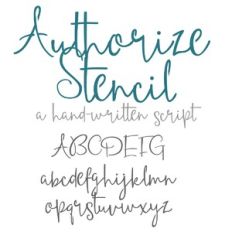 ZP Authorize Stencil