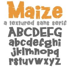 ZP Maize