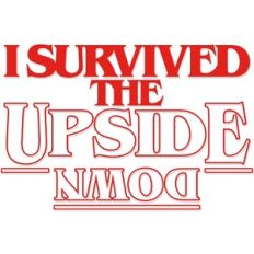 I survived the Upside Down