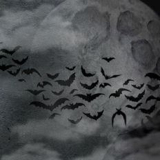 Spooky Flying Bats Night Sky