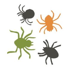 Spiders