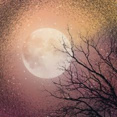 Harvest Moon Background