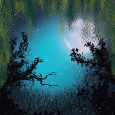 Moonlit Forest Sky