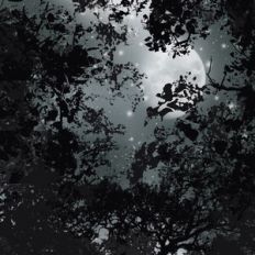 Spooky Sky Background