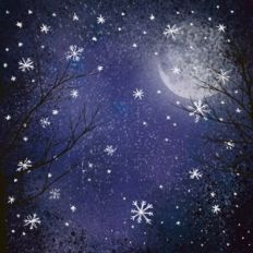 Night Snow