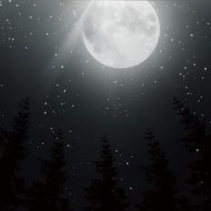 Spooky Forest Background Pattern