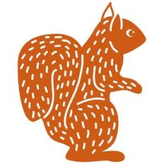 Squirrel in the Forest