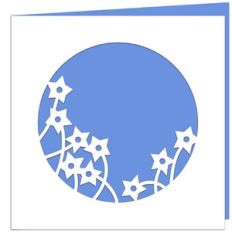 Shooting Stars Aperture Card
