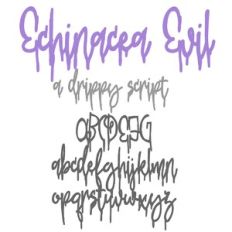 ZP Echinacea Evil Bold