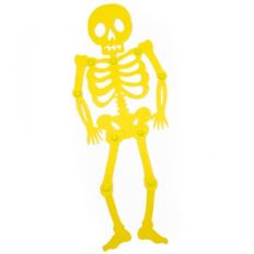 Jointed Skeleton