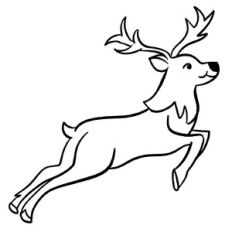 Cute Reindeer