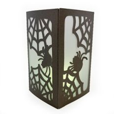 Spider Lantern
