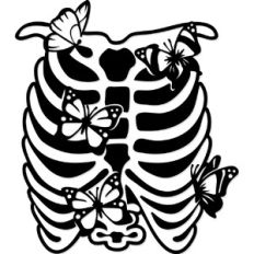 Rib Cage Butteflies
