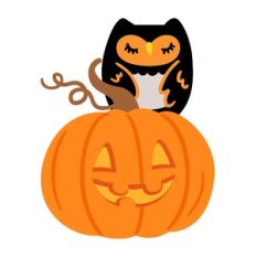 Owl on Pumpkin