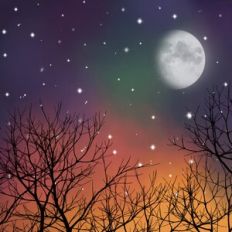 Rainbow Forest Sky