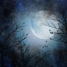 Midnight Moon Sky