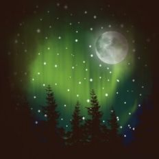 Magical Starlit Sky