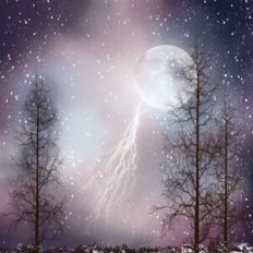 Snowstorm