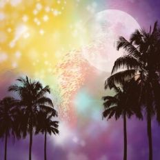 Tropical Skyline