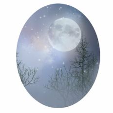 Misty Forest Sky Oval Background Pattern
