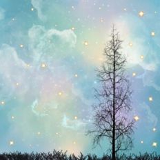 Heavenly Starlit Sky