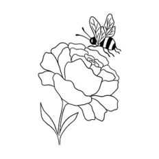 Bee with peony flower