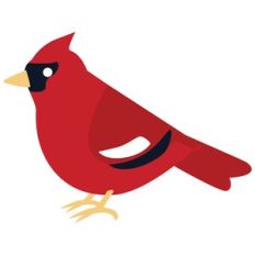 Cardinal