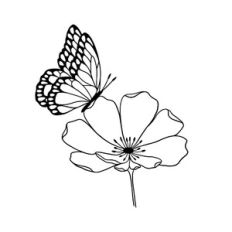 Butterfly with flower