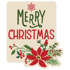Merry Christmas Tag