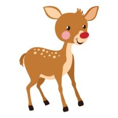 Reindeer
