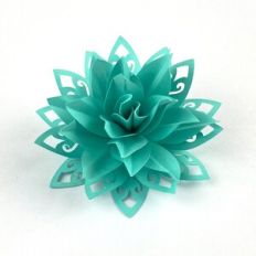 FLOWER 90 WITH LACY 2
