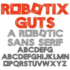 ZP Robotix Guts
