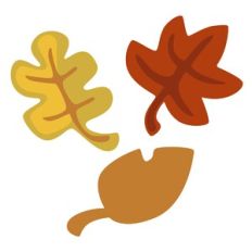 Fall Leaves
