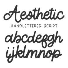 BFC Aesthetic Handlettered Script Font