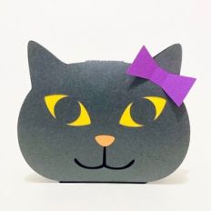 Cat sweets box