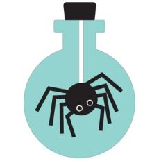 Bottled Spider