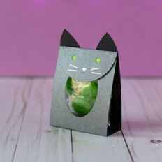 Halloween Cat Treat Bag Holder