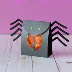 Halloween Spider Treat Bag Holder