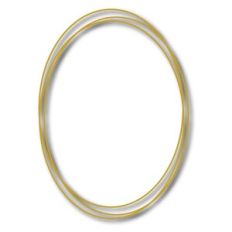 oval wire frame 2