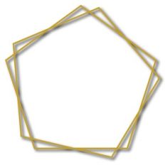 decagon wire frame 2