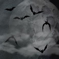 Spooky Moon and Flying Bats