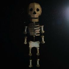 3D Skeleton