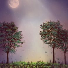 Peaceful Woodland