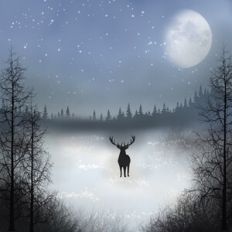 Snowy Forest With Deer