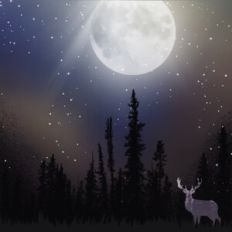 Moonlit Forest With Deer