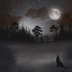 Wolf Moon Background