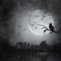 Halloween Night