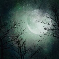 Halloween Night