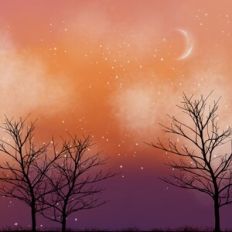Sunset Sky