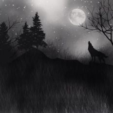Wolf Howling At The Moon